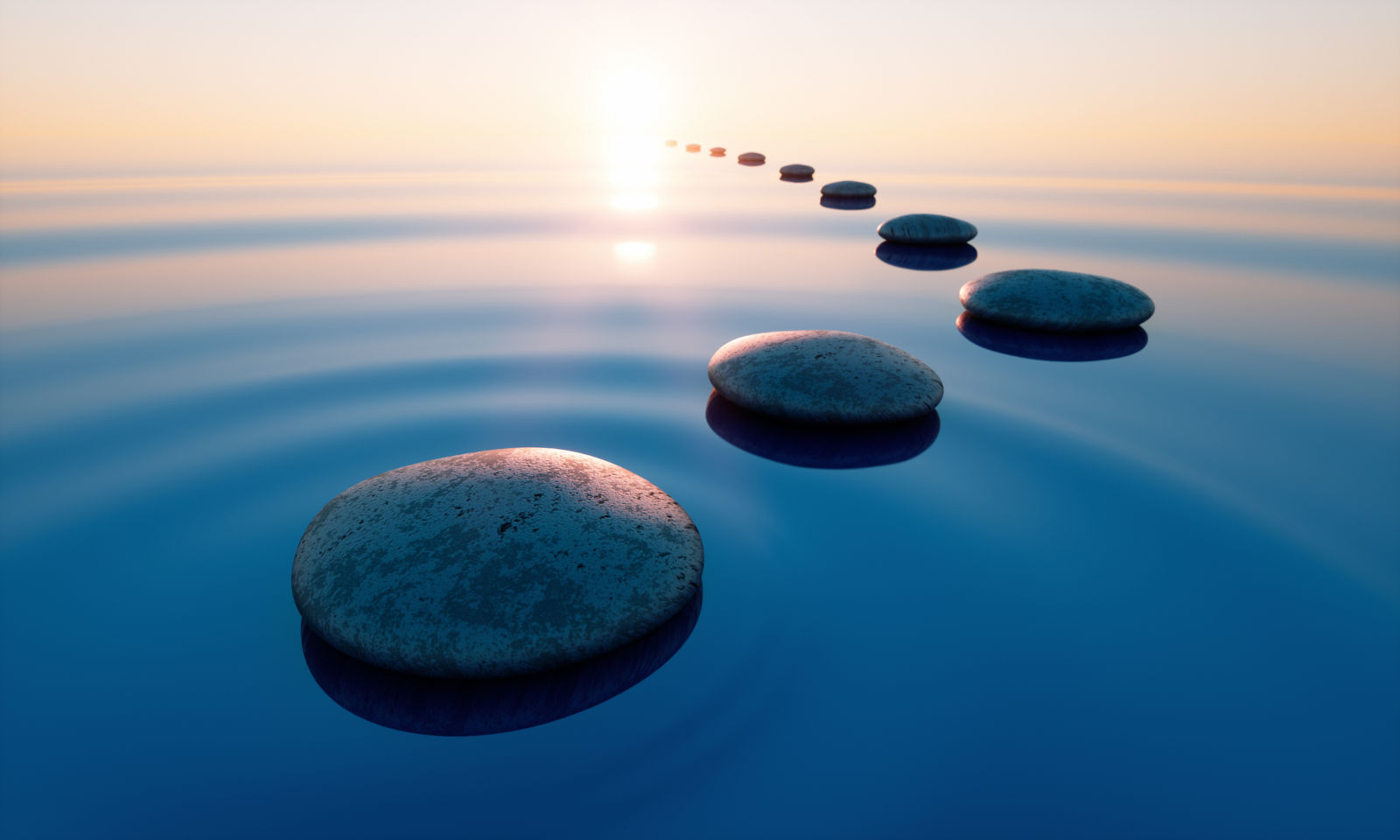 The Importance of Cultivating the Use of Self