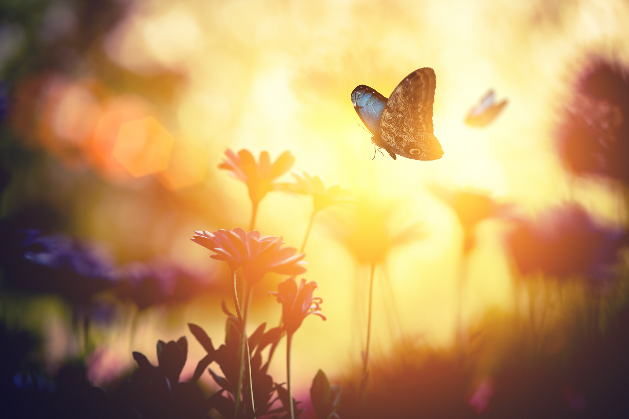 The Importance of Cultivating the Use of Self