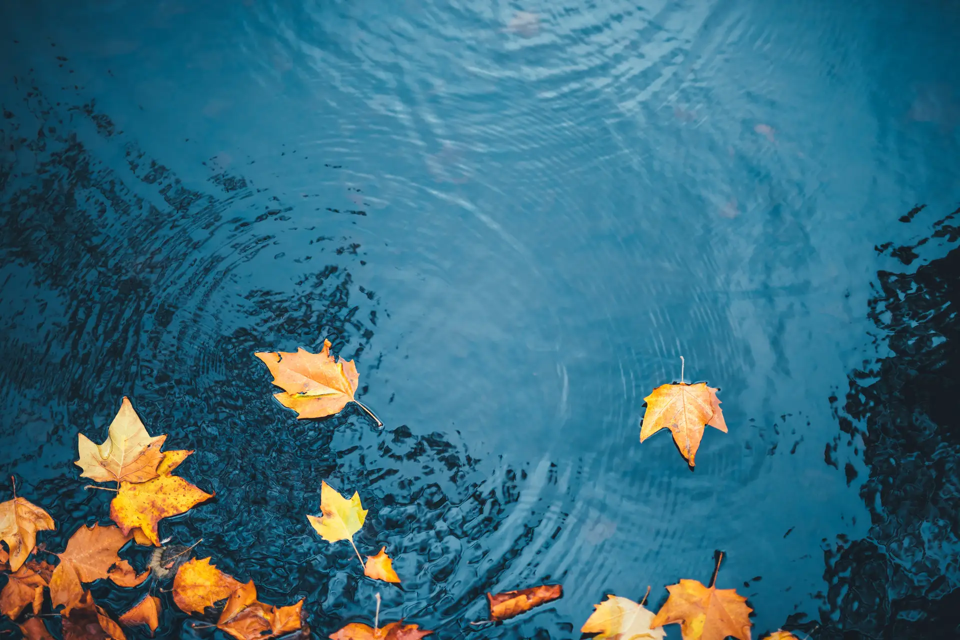 The Importance of Cultivating the Use of Self